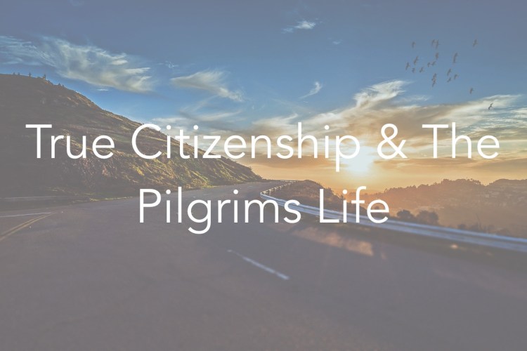 mountain-road-1556177_1280